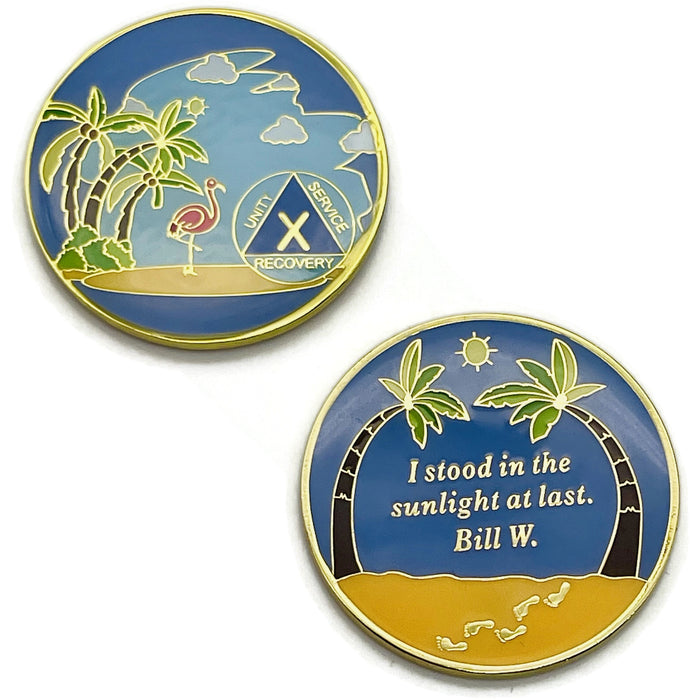 10 Year Beach Themed Specialty Tri-Plated AA Recovery Medallion - Ten Year Chip/Coin