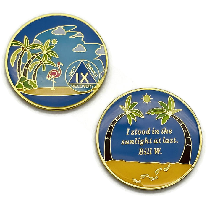 9 Year Beach Themed Specialty Tri-Plated AA Recovery Medallion - Nine Year Chip/Coin