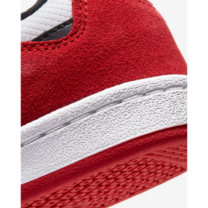 Nike Big Kids' SB Alleyoop Skateboarding Shoes CJ0883-102