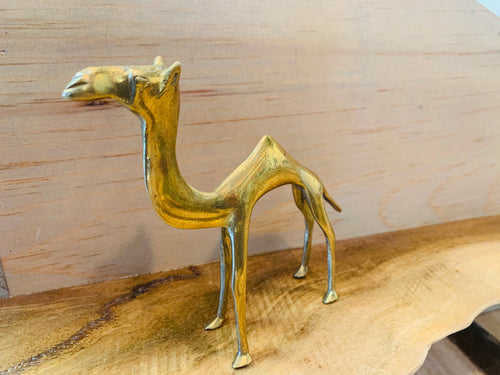 Brass camel