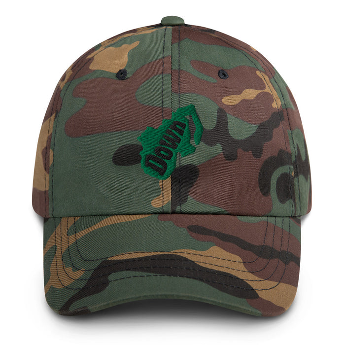 ☘️ Down Embroidered Cap ☘️
