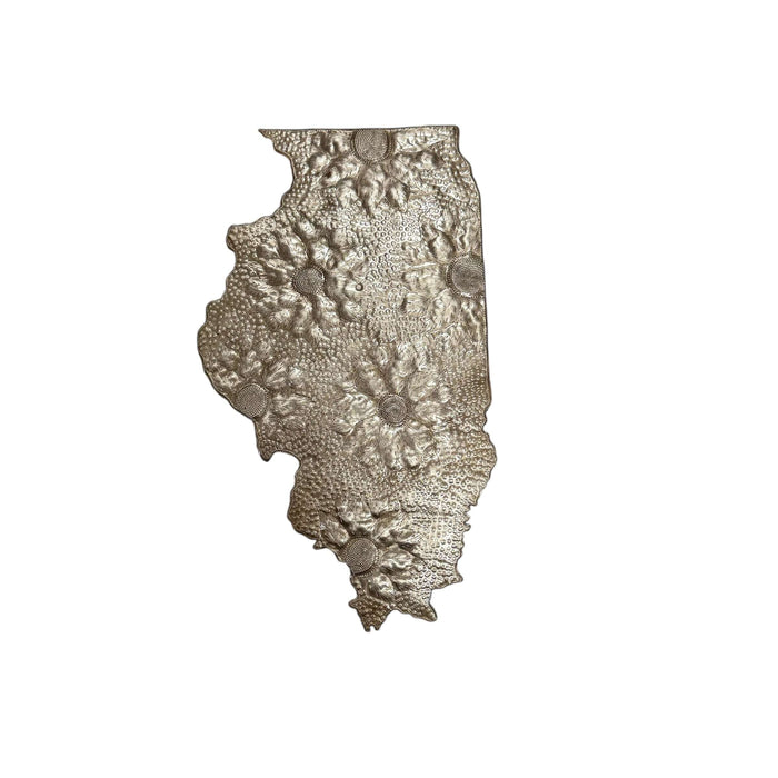 Illionois Floral Metal Art