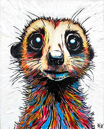 Meerkat