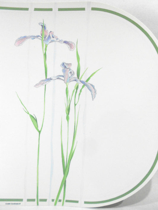 💜 NEW 4 CORELLE Coordinates SHADOW IRIS Reversible Vinyl Foam 17x11 PLACEMATS